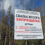 Свалки в Сосновом Бору закрывают. Рассказываем, куда теперь выбрасывать крупный и строительный мусор - Газета Маяк