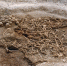 ДНК-анализ показал, что викинги были не такими, как принято считать - Газета Маяк