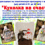 Тематическая программа "Куколка на счастье" - Городской музей