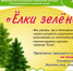 "Ёлки зелёные" - Городской музей