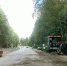 По погоде. Сезон основных дорожных работ завершается в Сосновом Бору - Газета Маяк