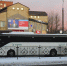 403 автобус между Петербургом и Сосновым Бором могут перезапустить - Газета Маяк