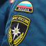 Садоводам Соснового Бора напомнили о пожарной безопасности и рассказали, как ее обеспечить - Газета Маяк