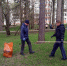 Весенние субботники пройдут в Сосновом Бору с 6 апреля по 8 мая - Газета Маяк