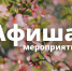 Афиша выходного дня: куда сходить в Сосновом Бору 10-12 апреля - Газета Маяк